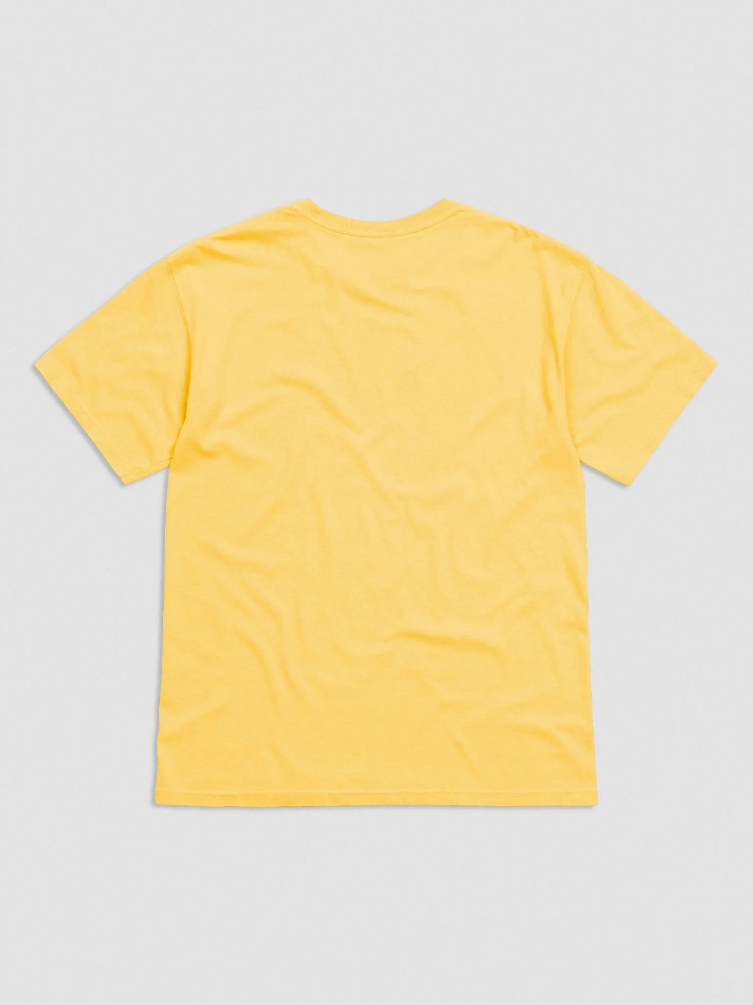 Comfort Colors Garment-Dyed Heavyweight T-Shirt: Ragdoll product image (39)