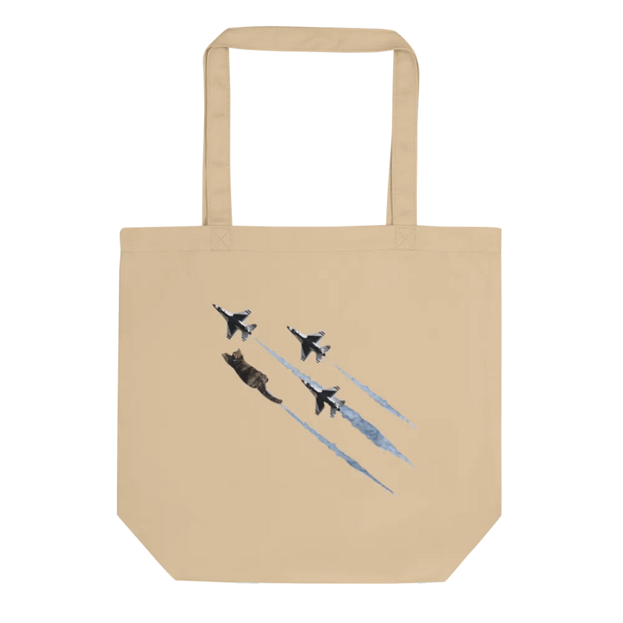 It's a car... It's a plane? No, its lyra wtf product image (1)