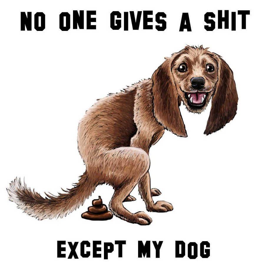 No one gives a shit, except my dog - A happy dog t-shirt product image (2)