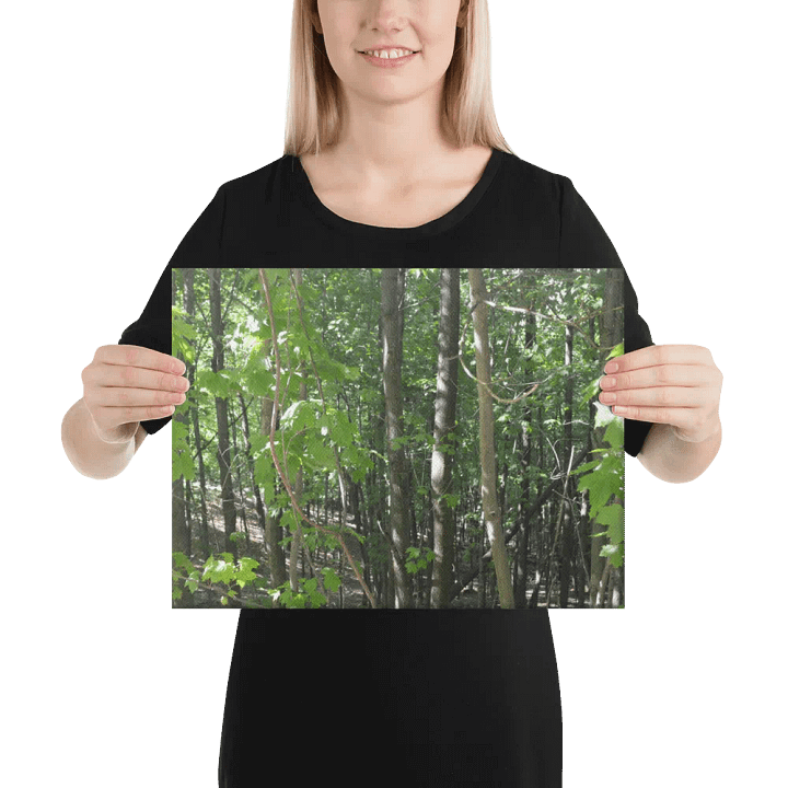 Empire Bluff Forest Canvas product image (2)