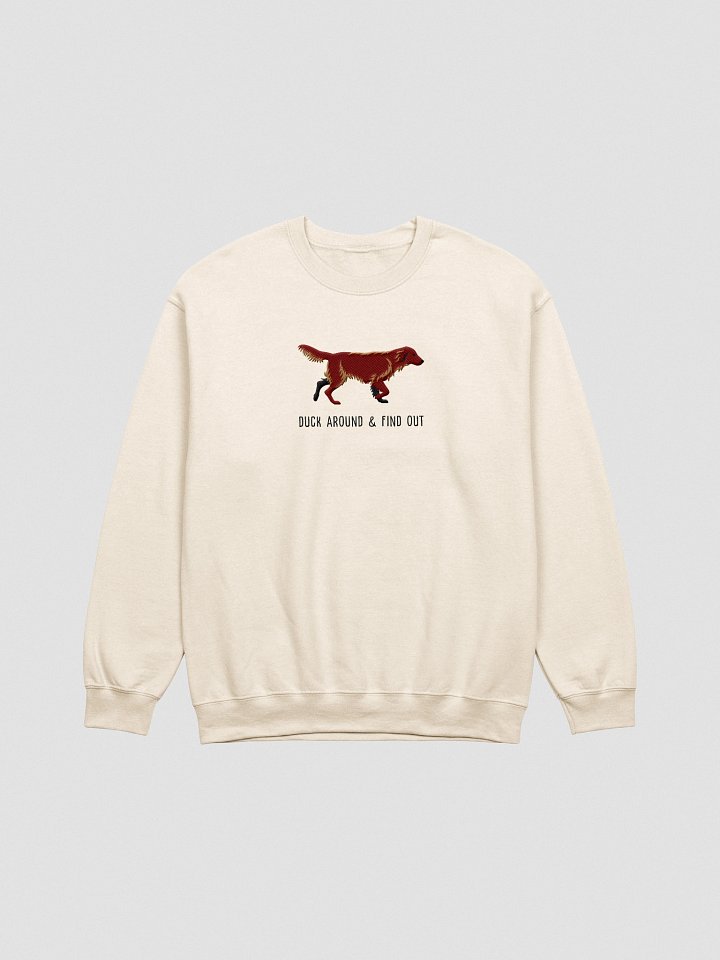 Duck Around and Find Out Sweatshirt (Embroidered) of a Flat Coated Retriever(Chocolate) product image (16)