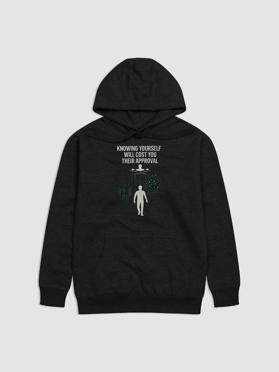 Knowing yourself will cost you their approval Hoodie product image (1)