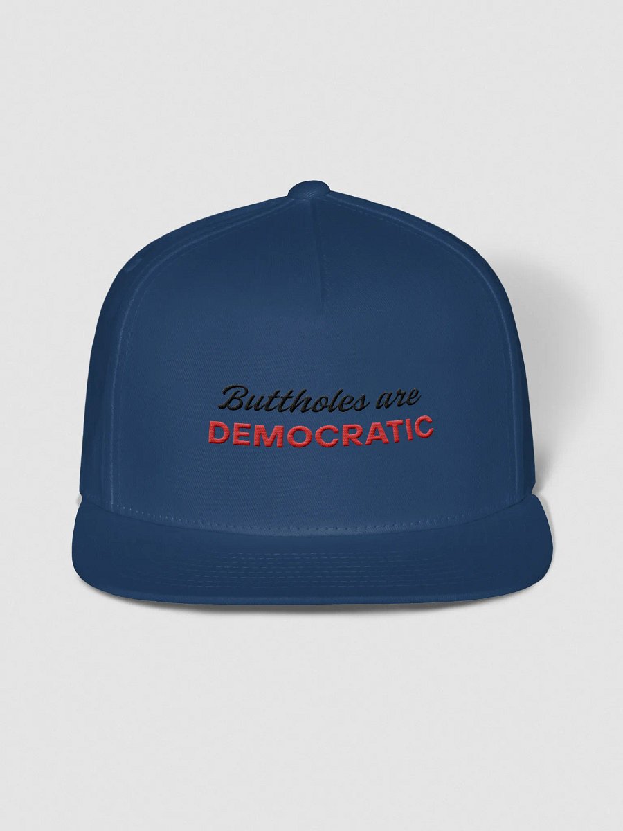 Buttholes are Democratic Hat product image (3)