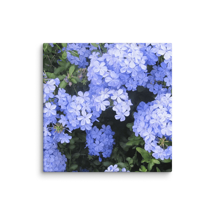 Flower Canvas product image (2)