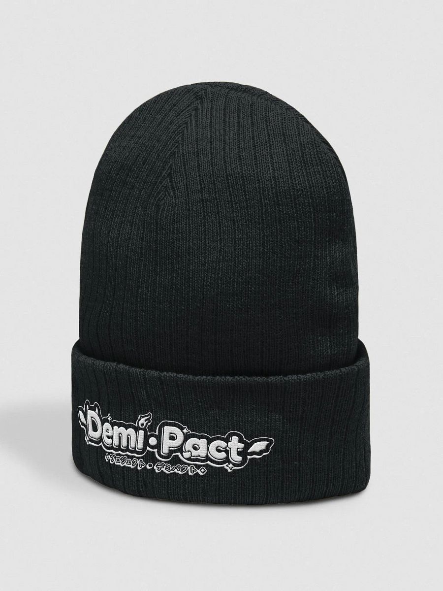 Agency Logo Beanie product image (3)