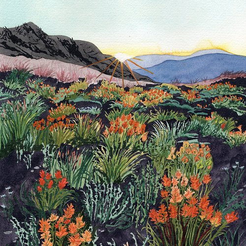 The artwork for “Someday Soon” has been selected thanks @jegreenmanart for helping us! (Check out her work!)

Album Release: ...