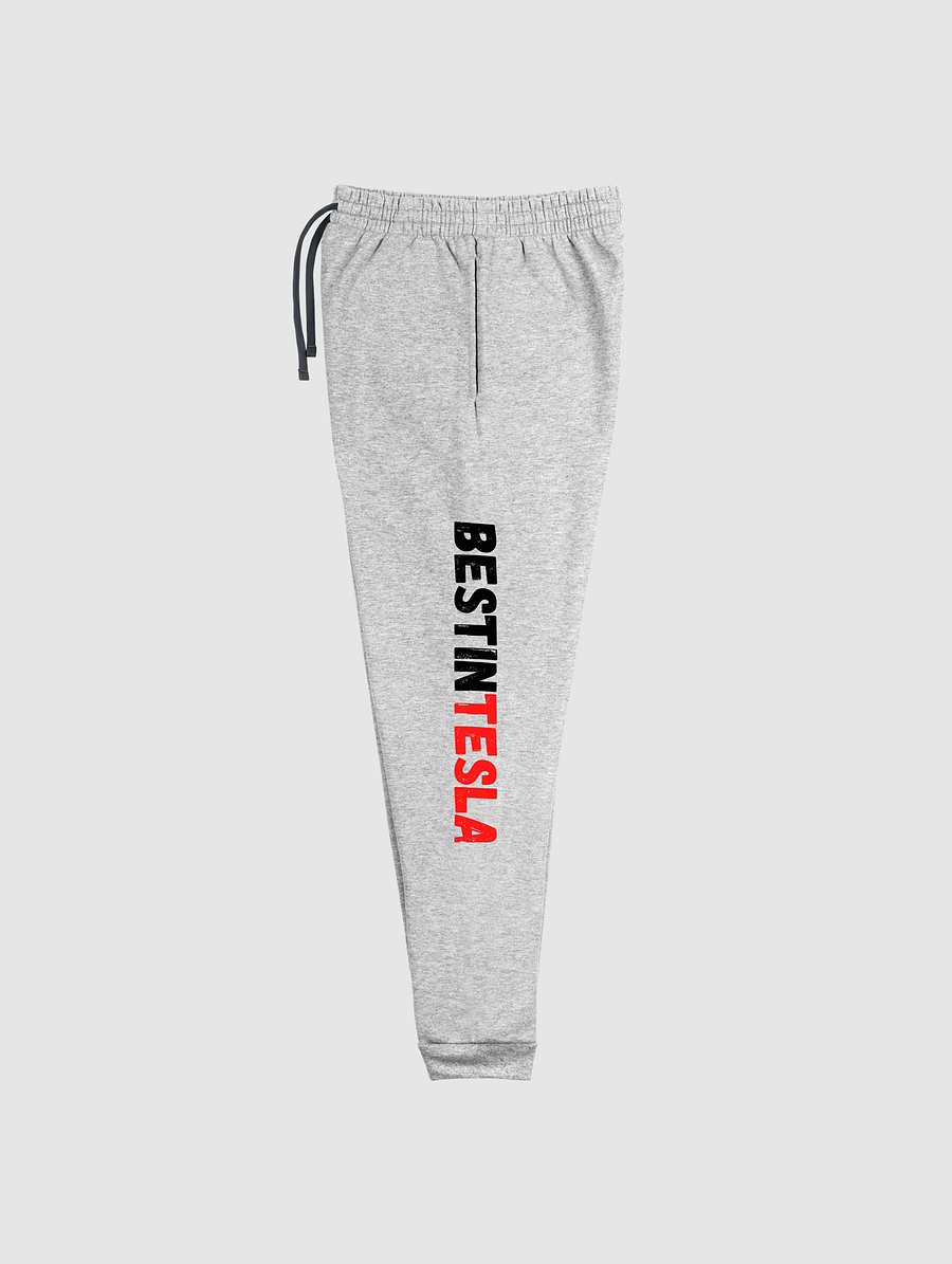 BestInTESLA Unisex Joggers Light product image (2)