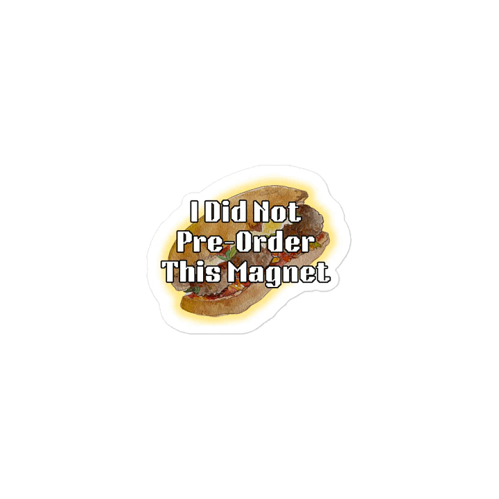 DID NOT PRE-ORDER (Magnet) product image (1)