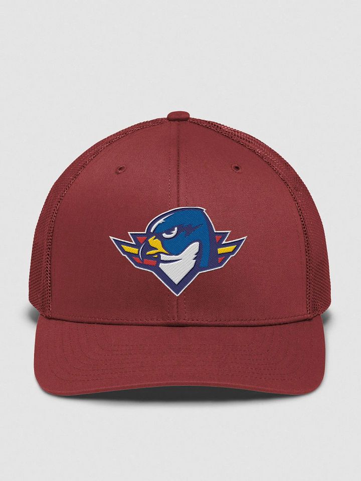 Thunderbirds Hat product image (1)