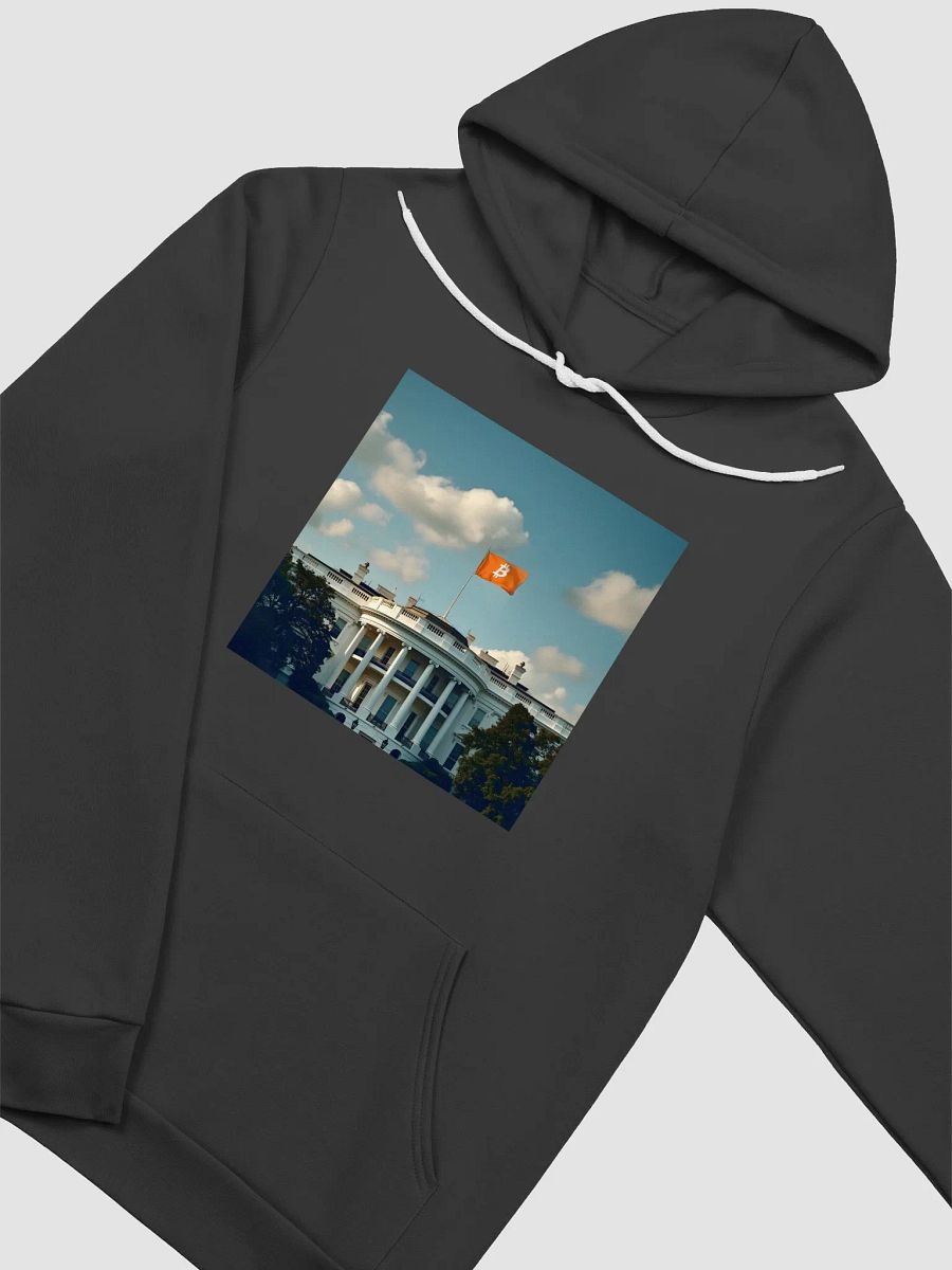 Bitcoin President Hoodie product image (12)