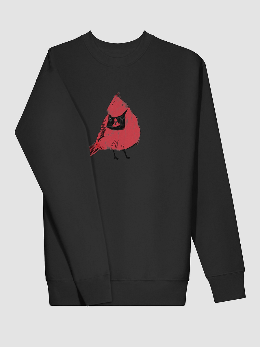 Shirley's Cardinal Sweatshirt product image (17)