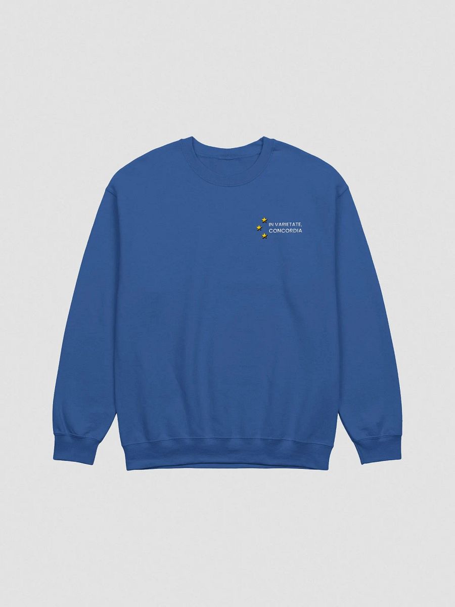 Sweatshirt, Embroidered - In Varietate, Concordia - Blue & Variants product image (2)