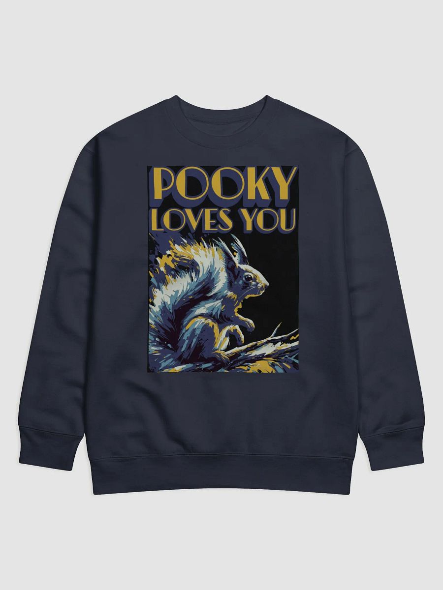 Pooky's Dynamic Love Sweatshirt product image (1)