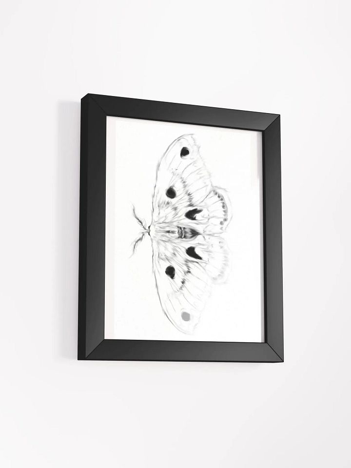 Cecropia Moth Print product image (6)