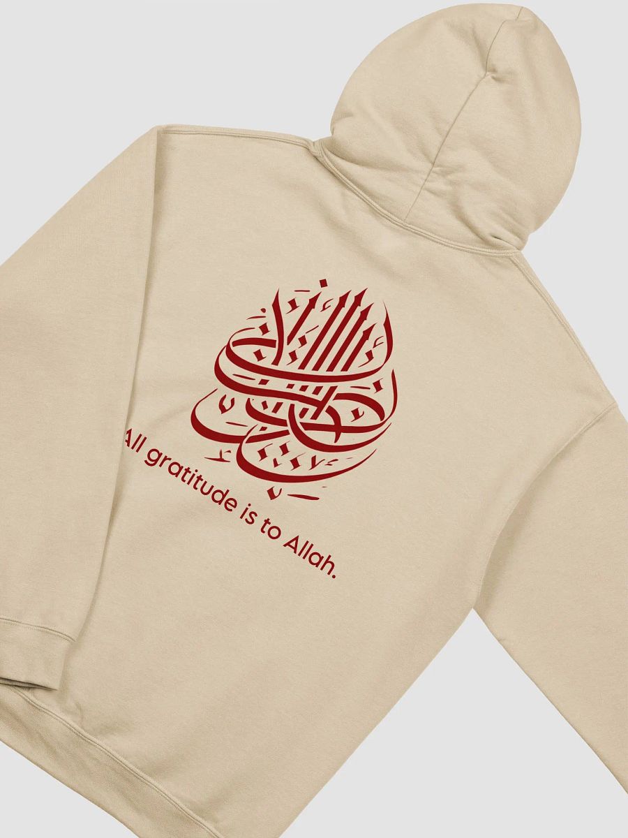 ZENURA Bold Classic Hoodie product image (4)