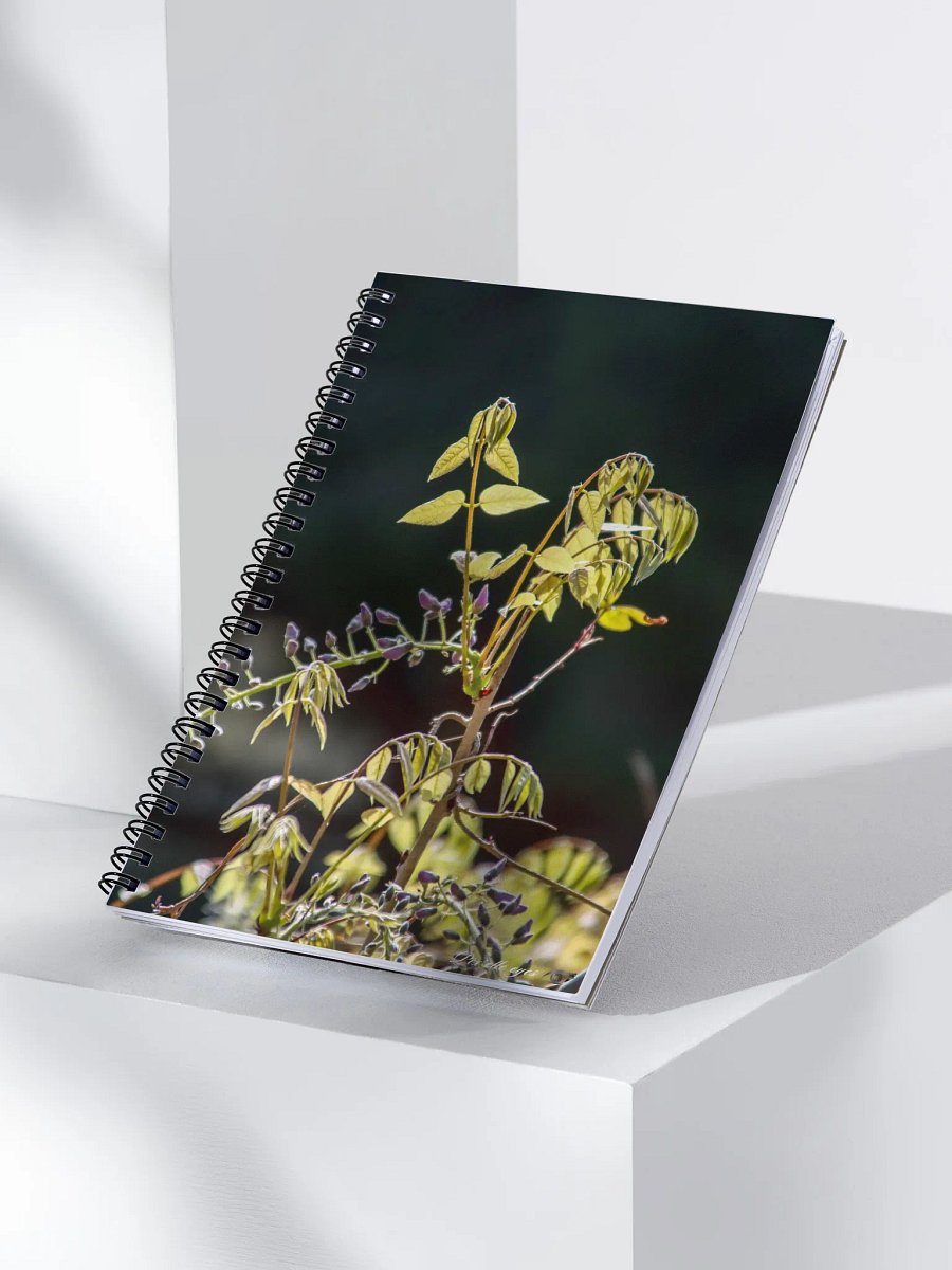 📓 Notebook Collection PURE – Jardin du Rayol – Glycine naissante product image (3)