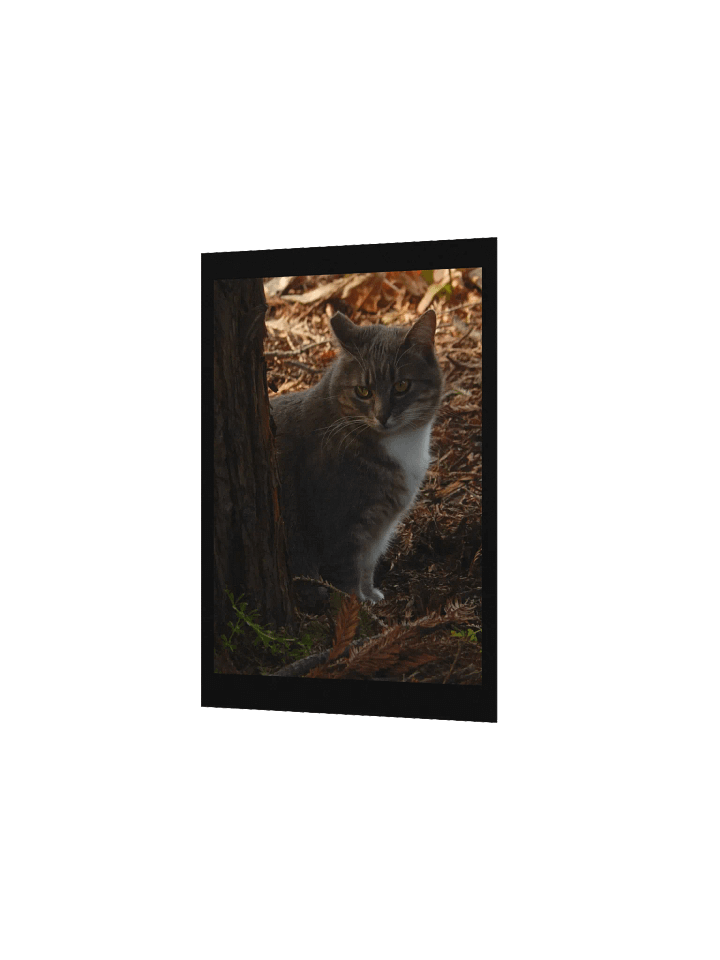 Forest Kitty product image (3)