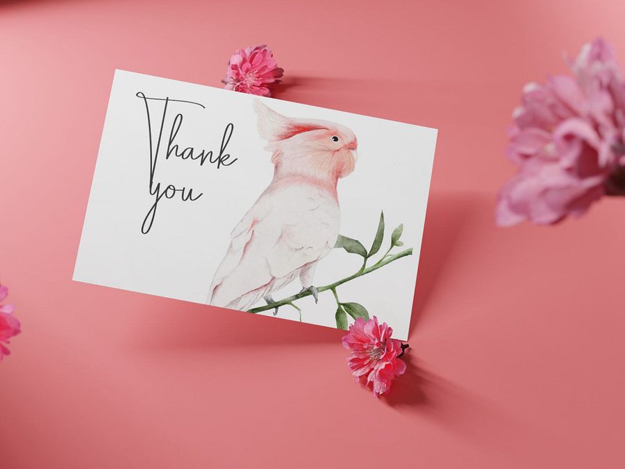 thank you cards bird 3 different birds product image (3)