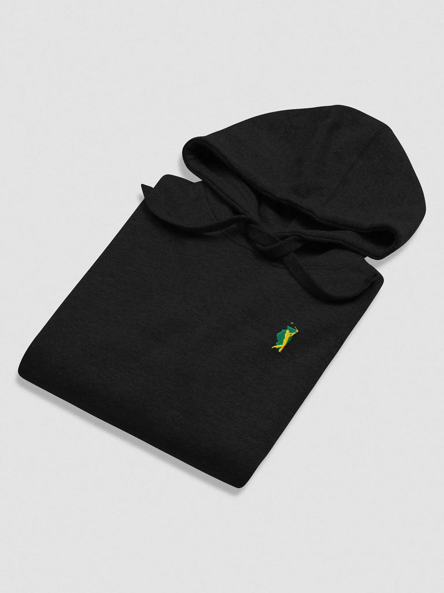 Less Expensive Hoodie product image (17)