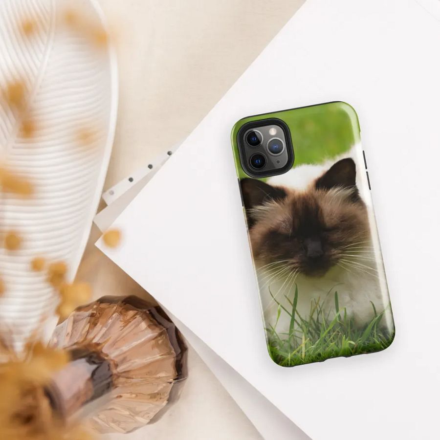 Ultimate Style and Protection: Stylish Kitty Phone Case product image (37)