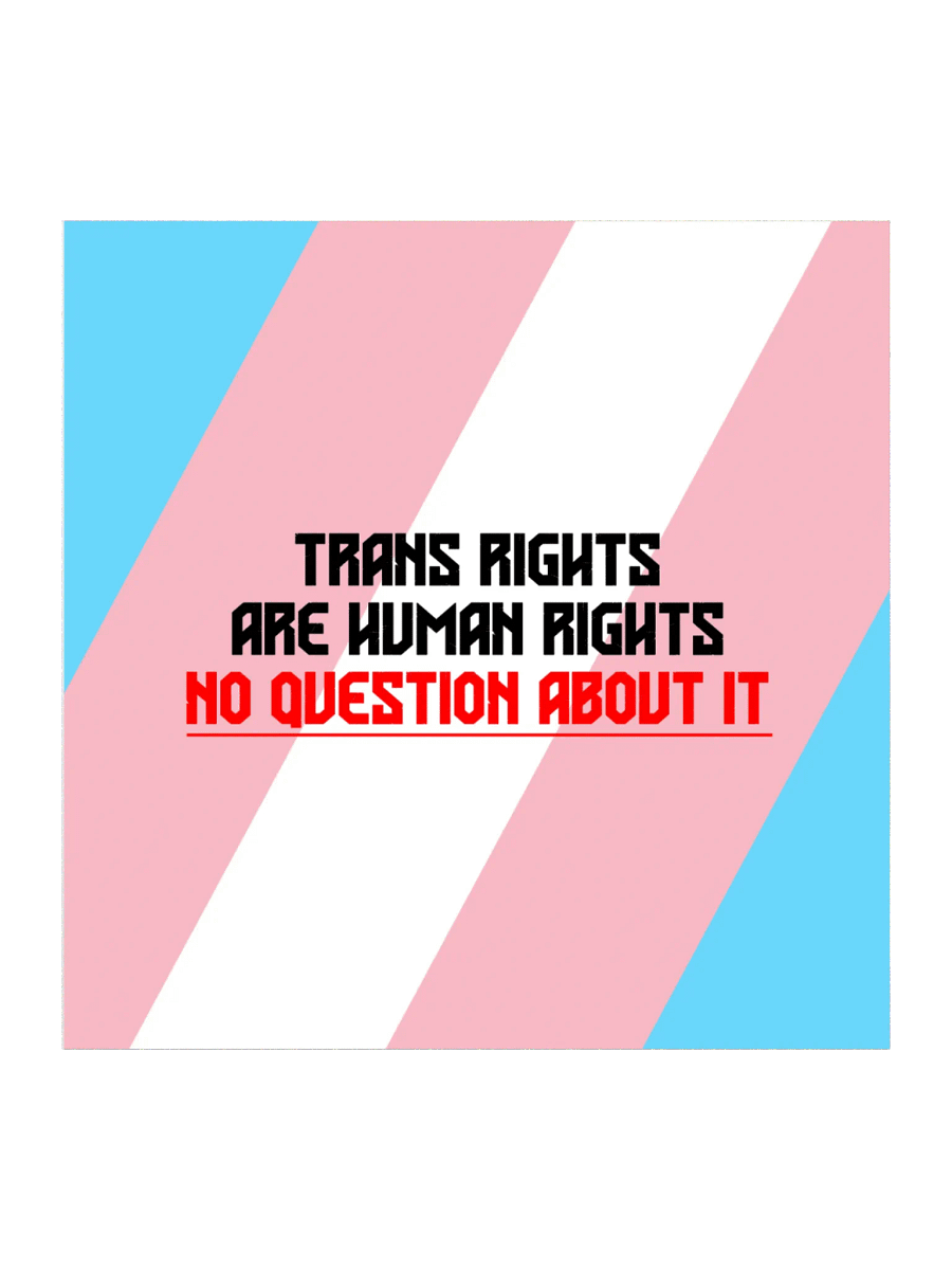 Trans Rights Kiss Cut Sticker product image (1)