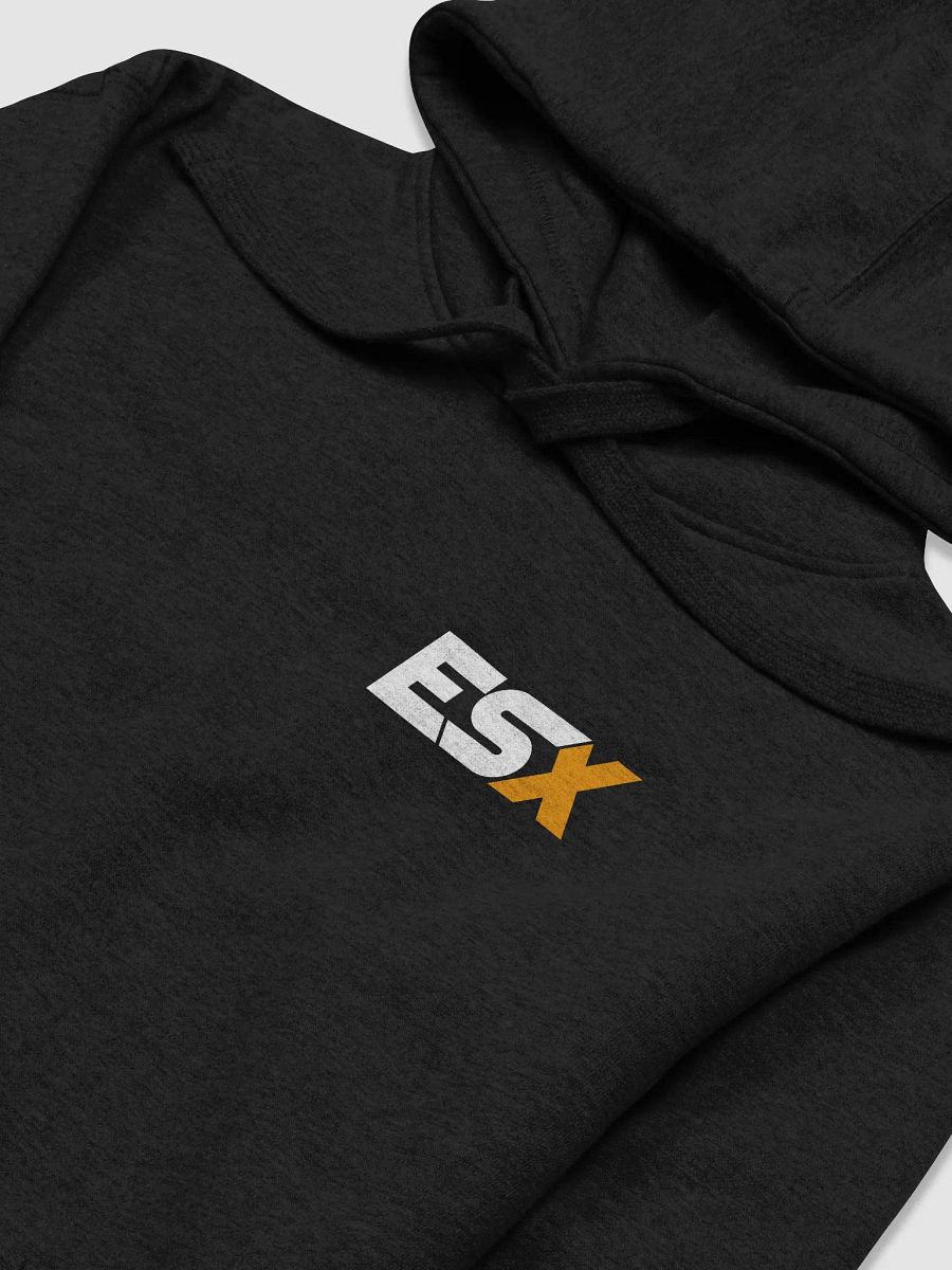 ESX Hoodie 2 product image (3)