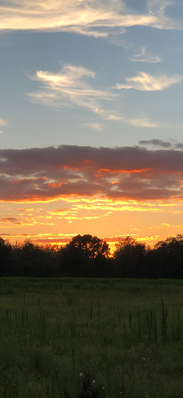 Sunset in the Field Phone Background product image (1)