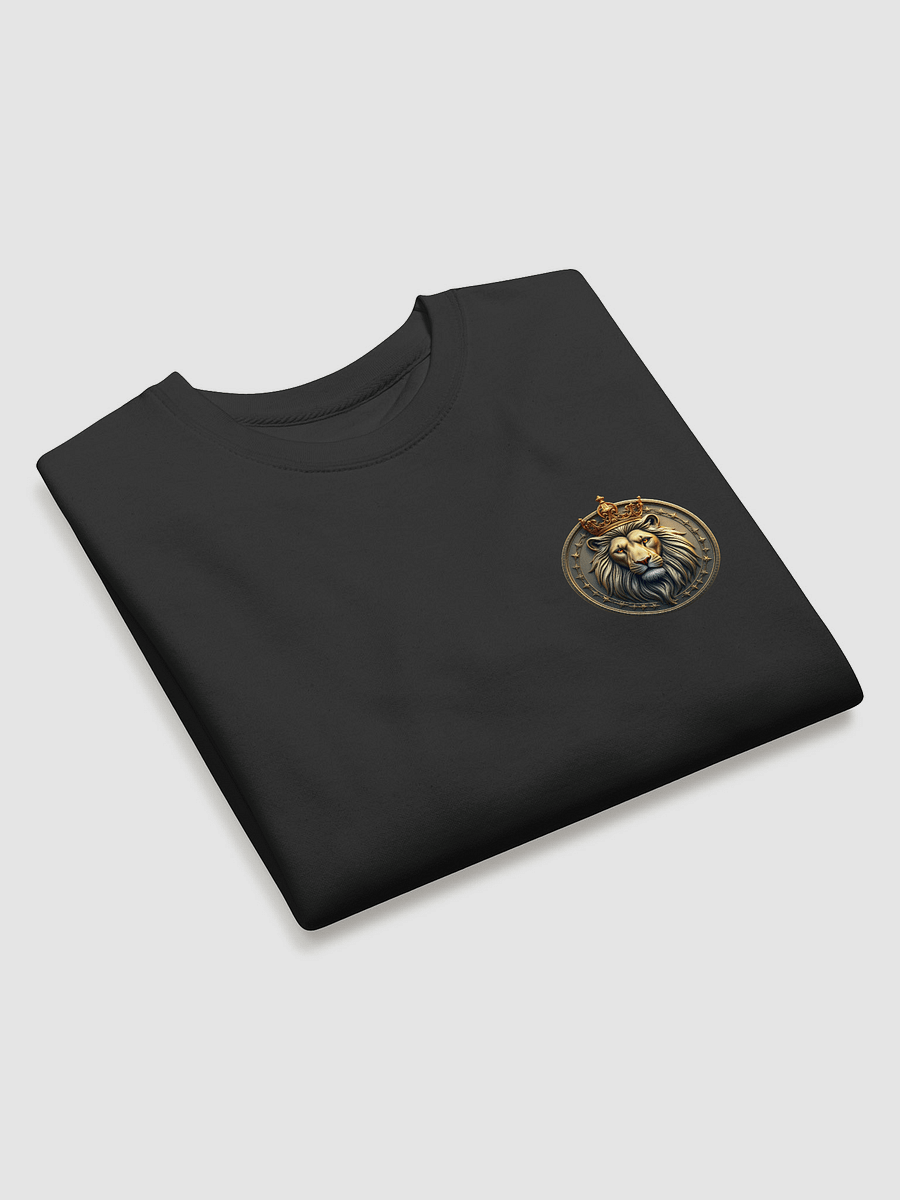 DNBKINGS COIN Sweatshirt product image (7)