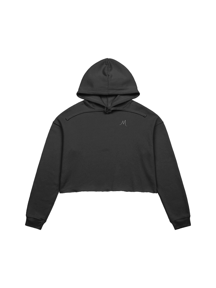 Sanctuary Crop Hoodie product image (2)