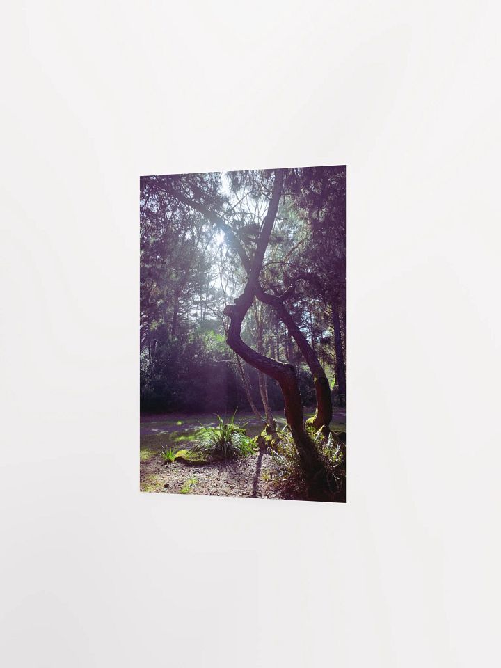 Soulmates product image (13)