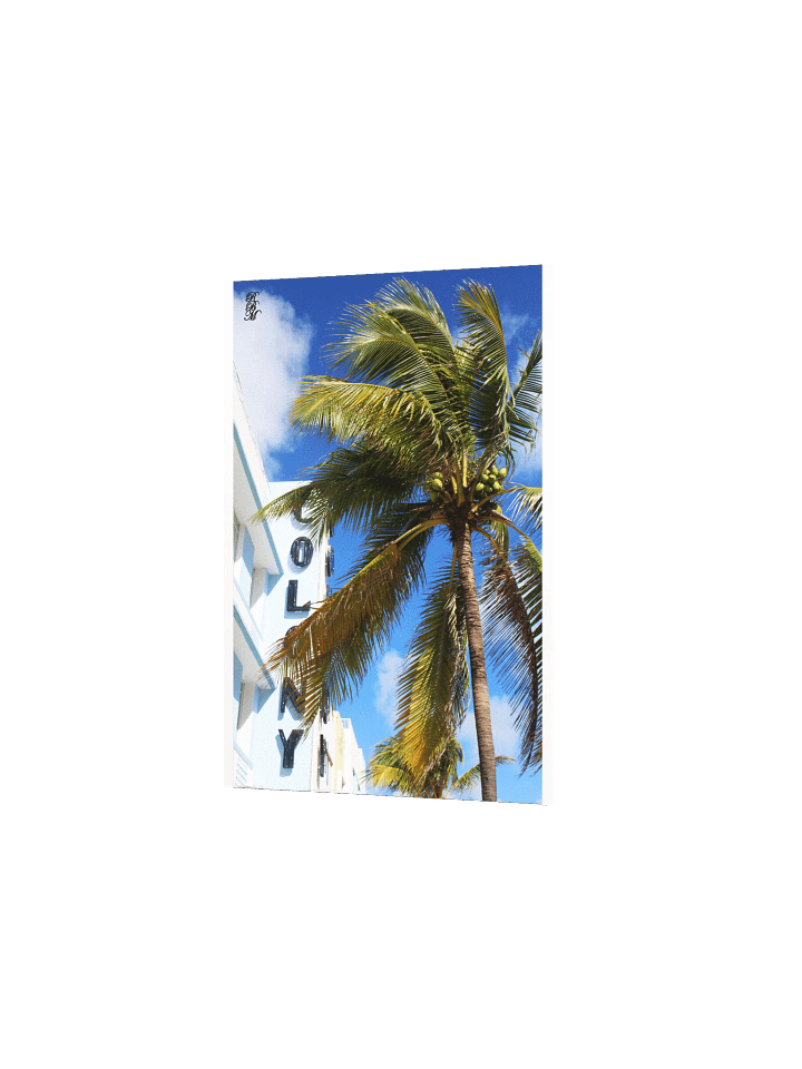 Palm Tree on Miami Beach product image (14)