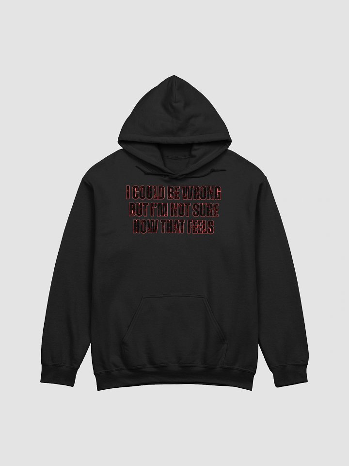 I COULD BE WRONG BUT I'M NOT SURE HOW THAT FEELS product image (9)