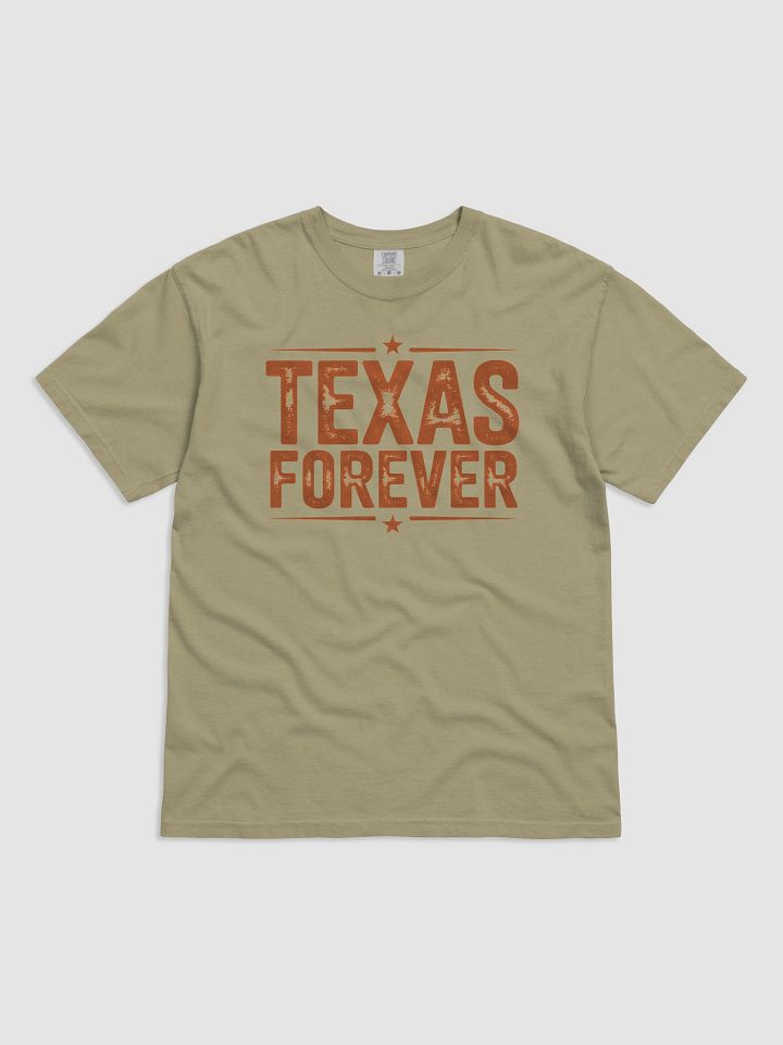 Texas Forever Distressed T-Shirt product image (10)