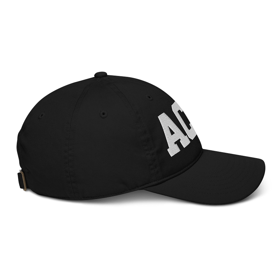ACCC Organic Dad Hat by Econscious product image (5)