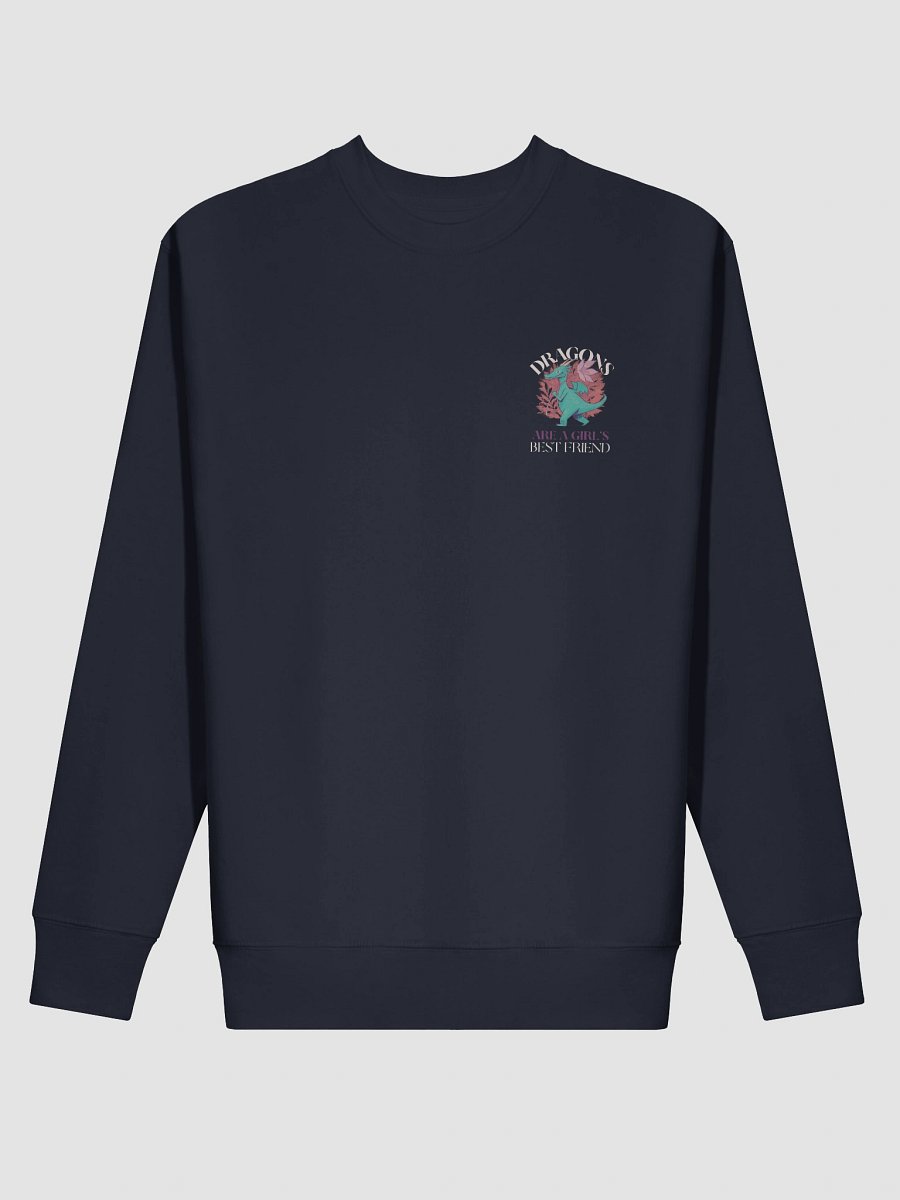 Dragons Are A Girl's Best Friend Dragon Girl Woman Friendship Sweater product image (3)