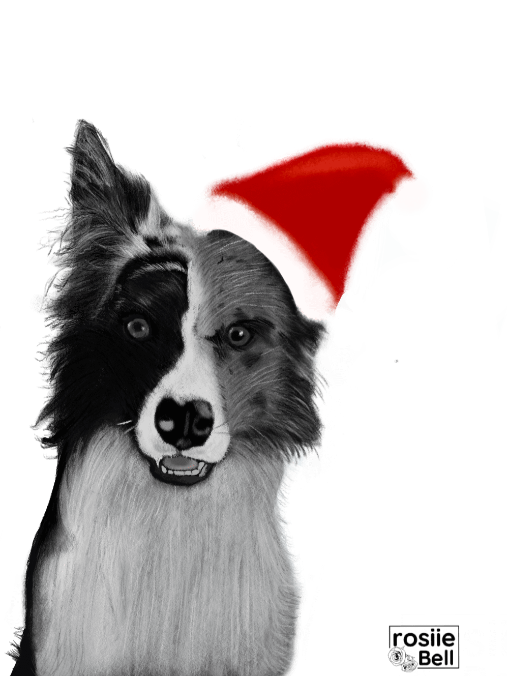Border Collie Christmas product image (3)