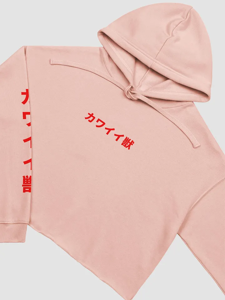 Kawaiiju Seeing Red Crop Hoodie product image (22)