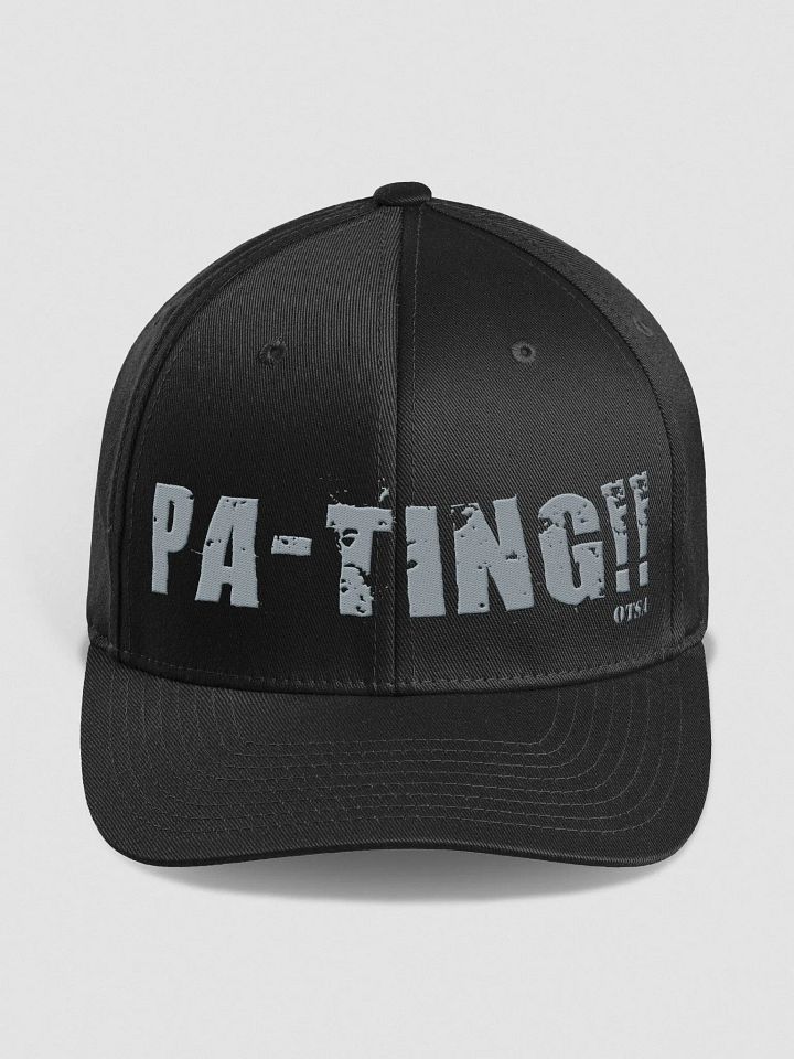 FlexFit PA-TING!! Logo Hat product image (1)