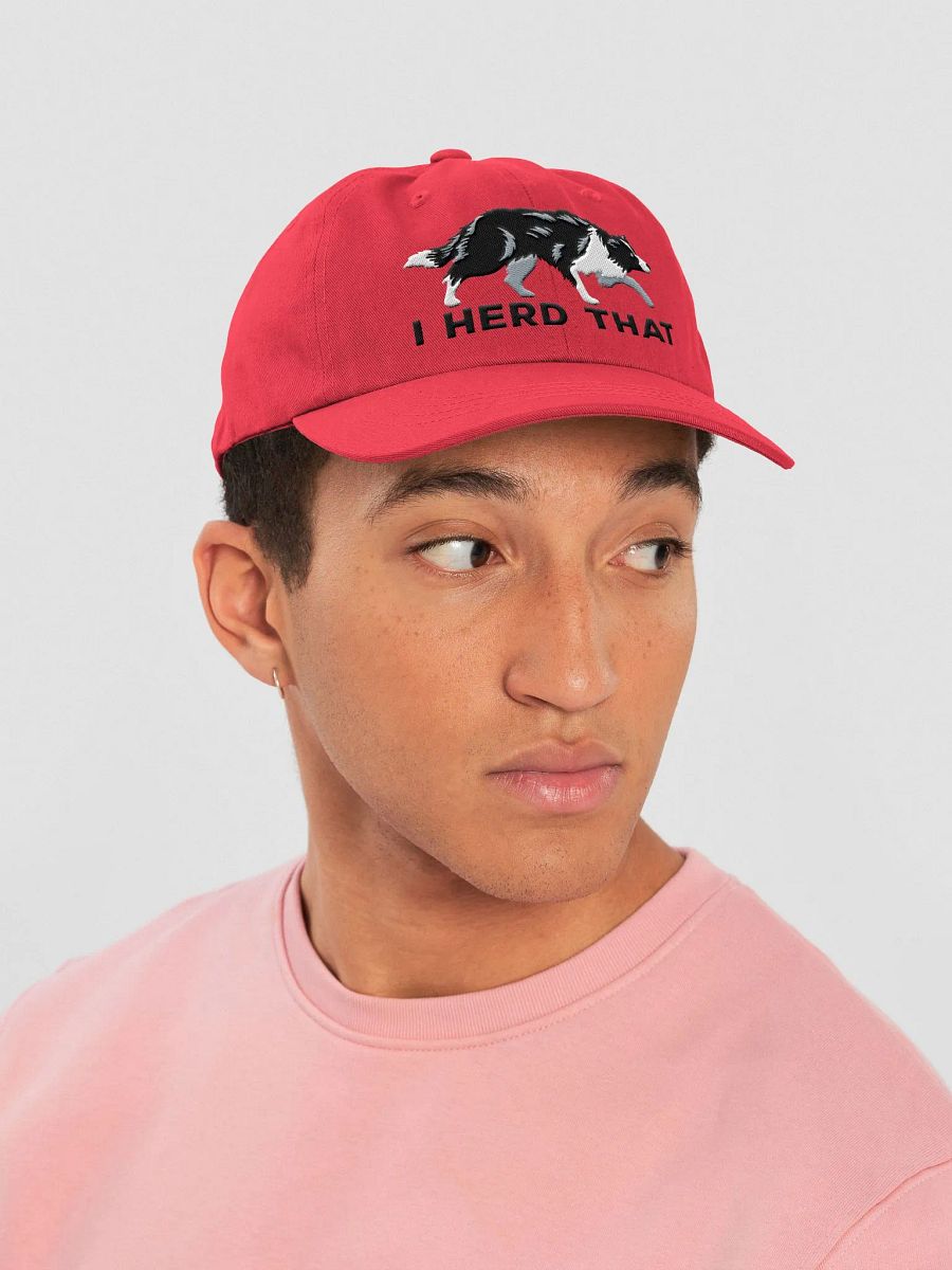 I Herd That Classic Dad Hat(Embroidered) of a Border Collie product image (3)