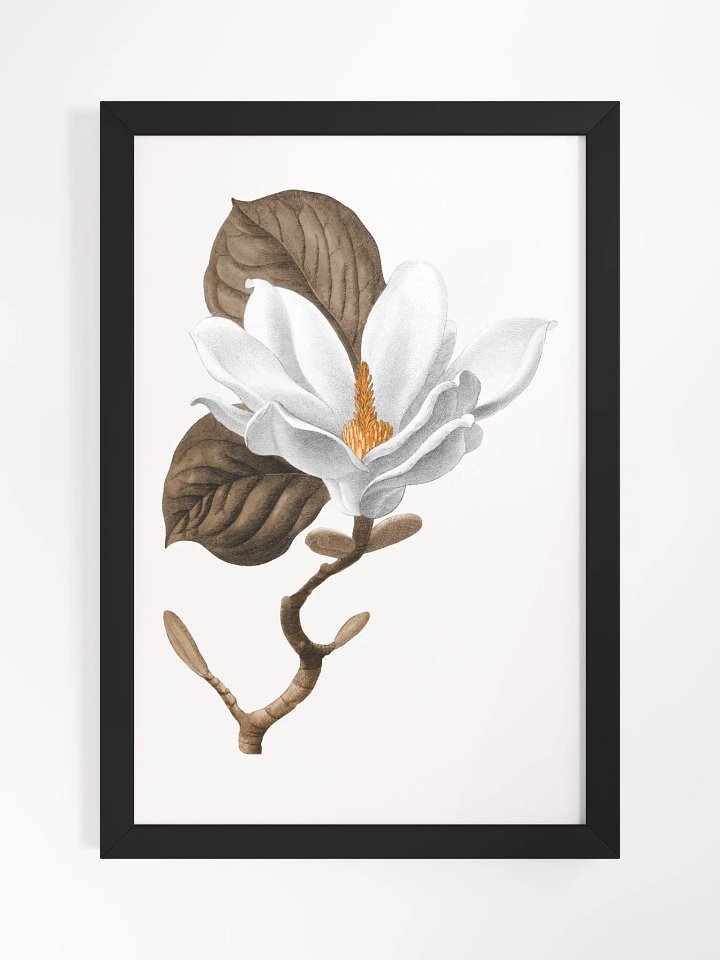Magnolia Grandiflora #2 Framed Print product image (1)