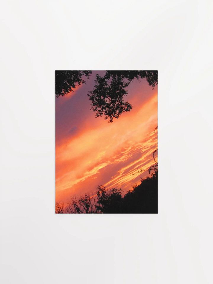 Florida Sunset 2 product image (9)