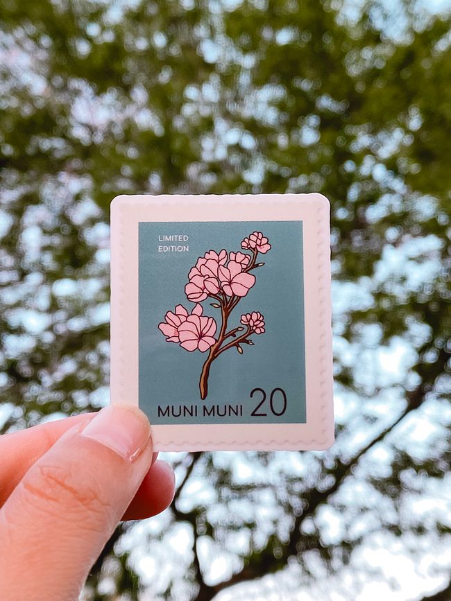 Cherry Blossom (Limited-Time)