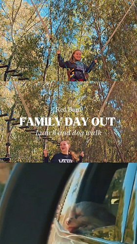 Fun family day out at The Red Barn today.

 Bungi trampolines, zip lines, good food, and a trail walk with the dogs. Great to...