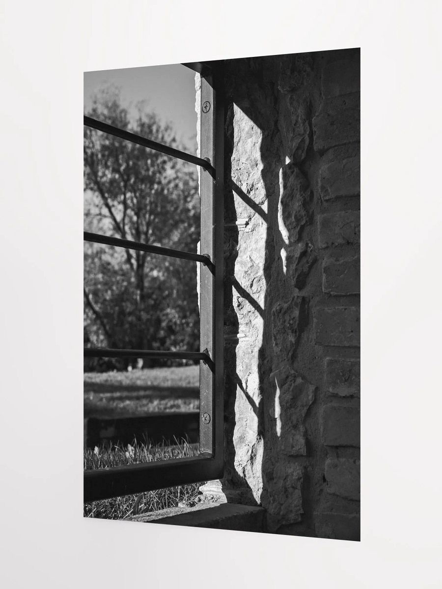 Light and Shadow (Premium Matte Poster) product image (3)