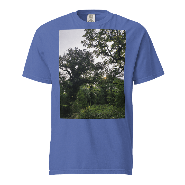 oak tree product image (1)