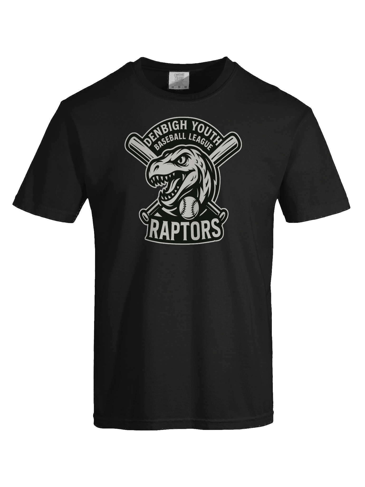 Raptors - Heavyweight T-shirt product image (58)