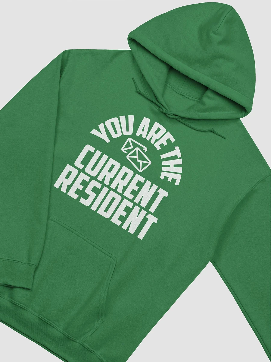 YOU ARE THE CURRENT RESIDENT HOODIE product image (19)