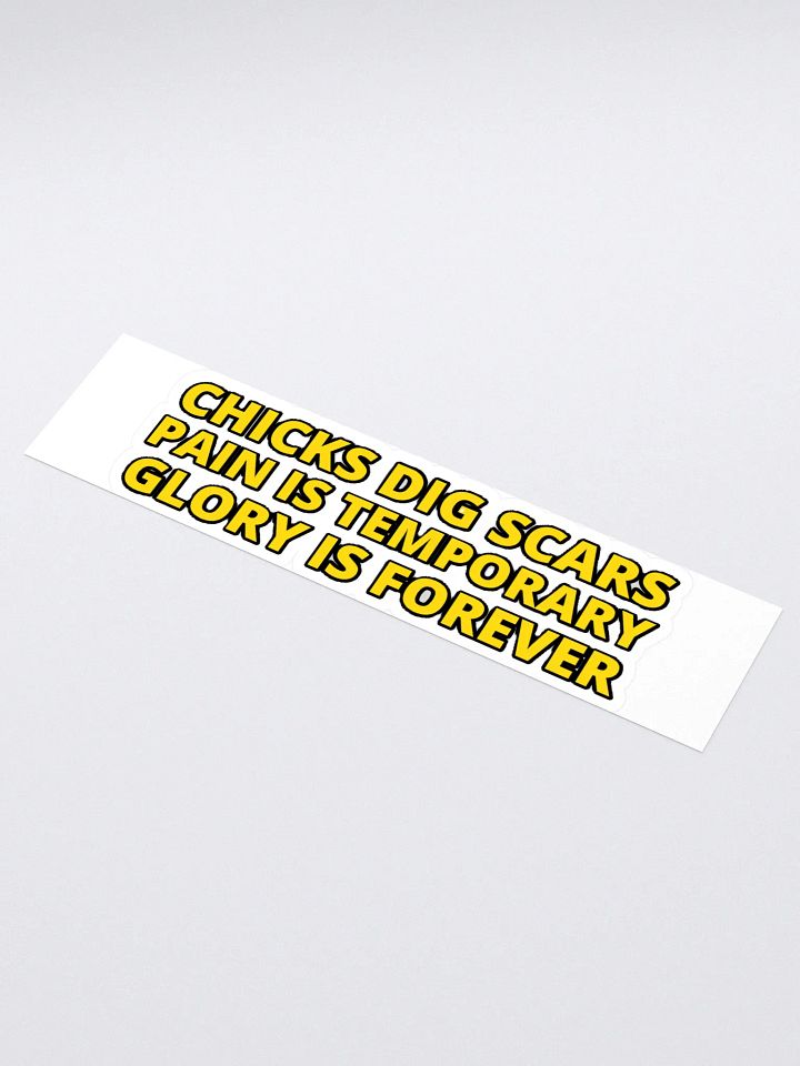 CHICKS DIG SCARS, PAIN IS TEMPORARY, GLORY IS FOREVER product image (1)