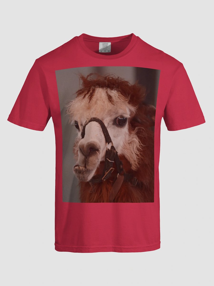 Llama Love Comfort Tee product image (5)