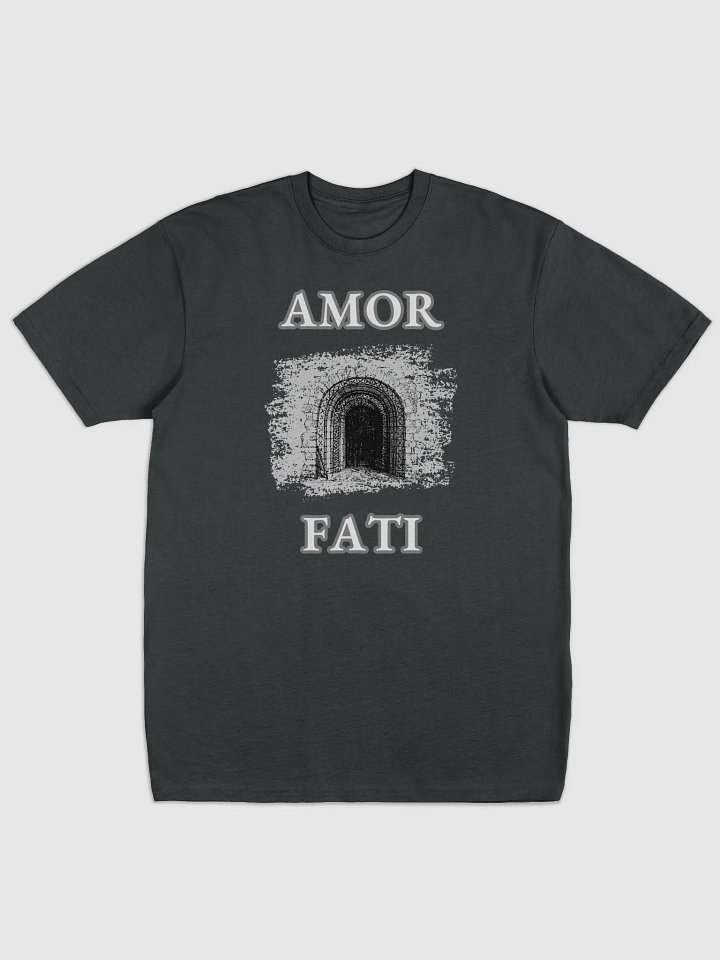 AMOR FATI Tee product image (31)